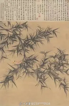http://oss.cjn.cn/images/20231127/1701079132252ea705aaf-e1a2-4743-8ce8-4886f5a9fd58.jpg