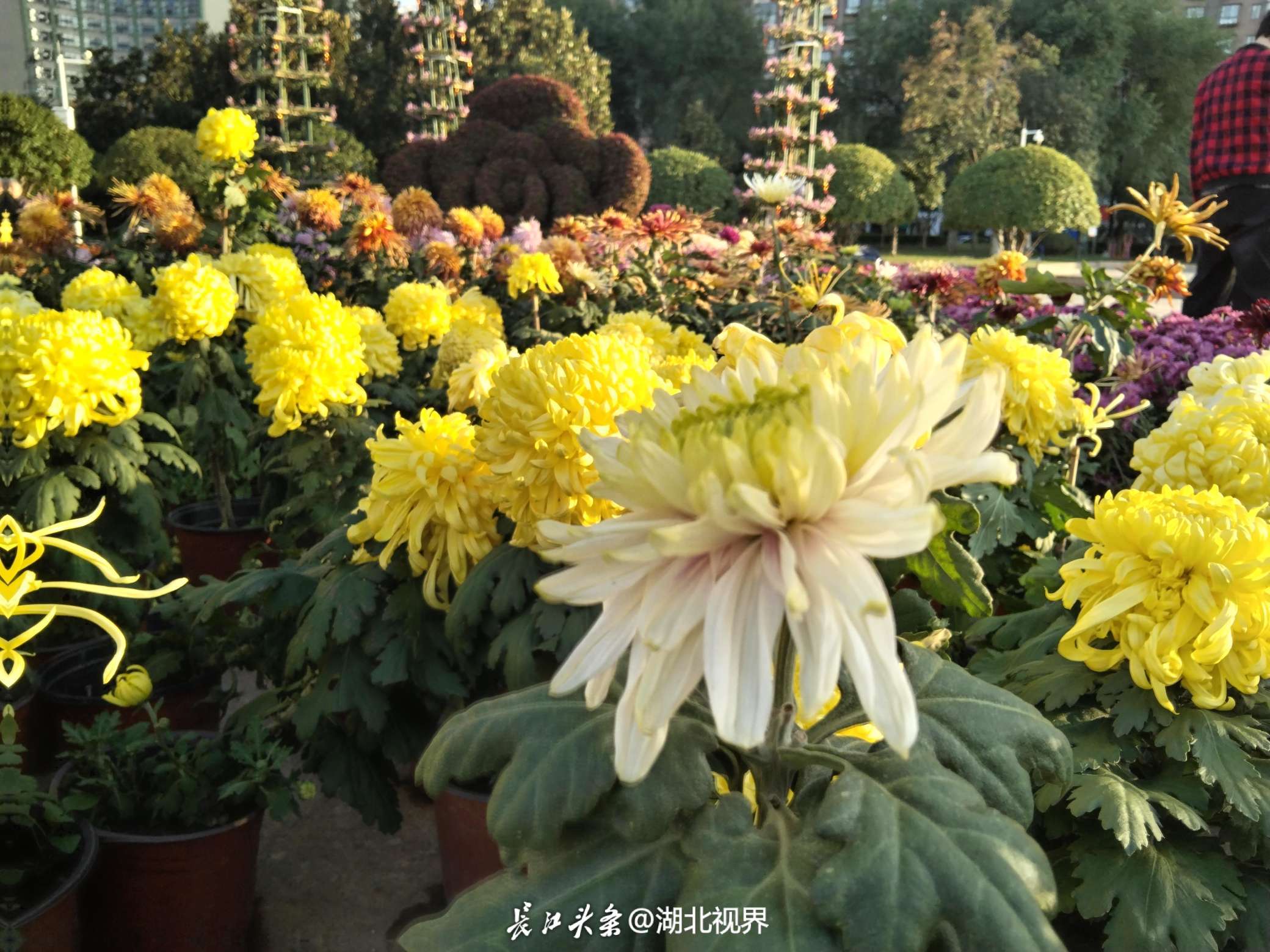 微信图片_202311061839281.jpg