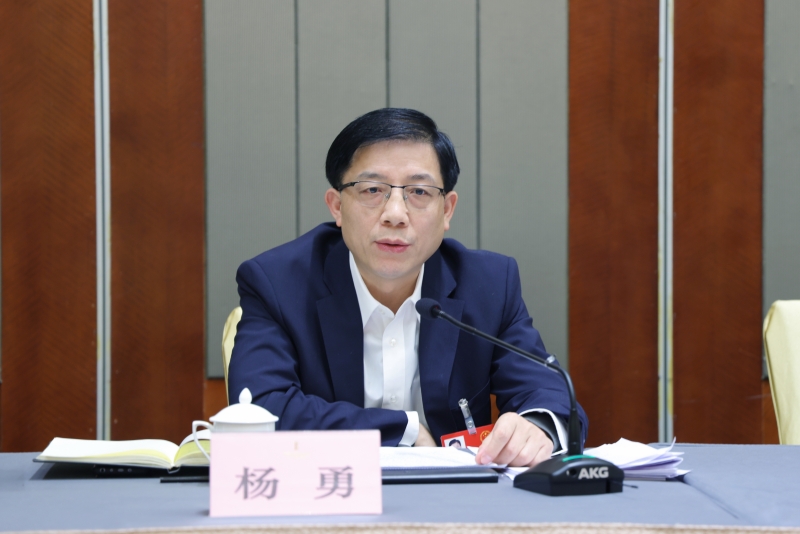 湖北省人大代表、潜江市市长杨勇。关业超摄