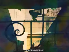 http://oss.cjn.cn/images/20240304/1709524986988c904f0f6-822f-429b-8945-05794cf11b46.jpg
