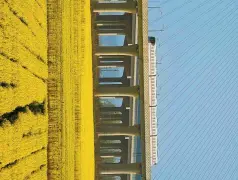 http://oss.cjn.cn/images/20240321/1710999495260602751f1-29d2-4375-b87f-8de846e5aee6.jpg