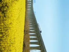 http://oss.cjn.cn/images/20240321/1710999502135c78bdf1b-ad2b-4a8c-b88b-9dbd74e96947.jpg