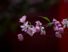 http://oss.cjn.cn/images/20240331/1711849127130ca36296d-7ecf-4833-ba50-c26f7c78fc65.jpg
