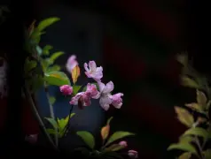 http://oss.cjn.cn/images/20240331/1711849170496753e1adc-7f4d-45a7-a821-ac4af8059b27.jpg
