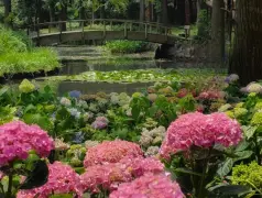 http://oss.cjn.cn/images/20240511/1715395508138e19a467d-b357-4067-bf86-1c3b711d7183.jpg