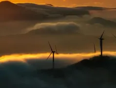 http://oss.cjn.cn/images/20240511/17154216248658d662e57-3d00-46f8-92ad-6ffdca7fc1f2.jpg