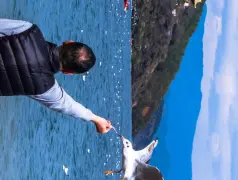 http://oss.cjn.cn/images/20240515/171573098984027670a92-02f0-4717-8356-b7e6c4e7d94b.jpg