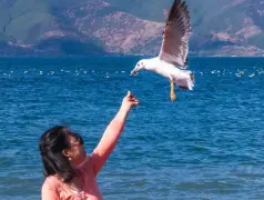 http://oss.cjn.cn/images/20240515/1715731003607f78380be-ea51-4643-8685-d7d9e0d15ae5.jpg