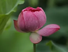 http://oss.cjn.cn/images/20240530/17170589387674c038f2a-c529-4fa0-a9aa-44290f19850c.jpg