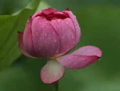 http://oss.cjn.cn/images/20240530/171705893979314dffd93-7080-4cd2-ad68-7988db8896cf.jpg