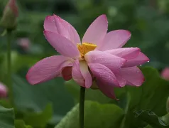 http://oss.cjn.cn/images/20240530/17170589416523bca3738-8961-4286-be1b-061634ec923e.jpg