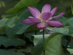 http://oss.cjn.cn/images/20240530/17170589445381f6e8ddc-4b44-4903-8442-64d86e1de5d2.jpg