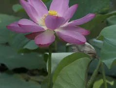 http://oss.cjn.cn/images/20240530/1717058945380c03e9ff9-a820-4052-b7f4-e85a8c4d5a67.jpg