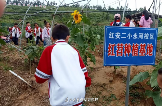 图片4.png
