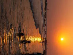 http://oss.cjn.cn/images/20240612/1718189764954a6a1a8c5-8b08-4cb7-9f05-a8e1c0b715d6.jpg
