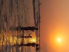 http://oss.cjn.cn/images/20240612/171818976811791c59c7e-89a5-464f-838e-d2d2f6d81398.jpg