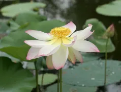 http://oss.cjn.cn/images/20240612/1718197925573dd1c8edd-69aa-4bf3-80bf-33ce7bf944ad.jpg