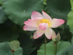 http://oss.cjn.cn/images/20240612/17181979268746897bd95-e73e-4e7c-bcb1-fdfd126cdf77.jpg