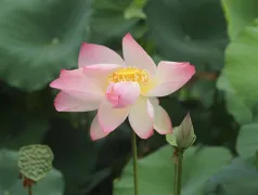 http://oss.cjn.cn/images/20240612/17181979280477ed1ff2c-a8bb-498c-9e47-41a95028d72c.jpg