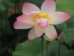 http://oss.cjn.cn/images/20240612/171819792870513ae389e-b05e-4370-b9d5-ec7cc315e3c9.jpg
