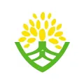 闪光点
