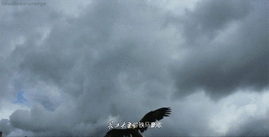 789f4ab0c9462ee5cc78b25c49ea2aa8_16a5c8c206264b3f889d0b01e3d229e0.gif