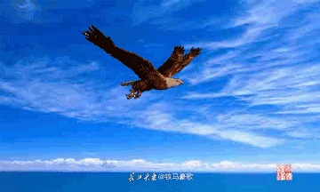 7ee2bbd415f2cdce777764bb9b9fd34f_755723562a494d1f8e8924de20eee246.png