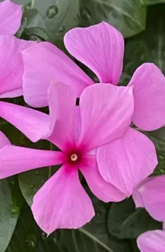 http://oss.cjn.cn/images/20240615/171840939887680e6d57b-4a36-47ae-bdb5-380d5d7f91a2.jpg