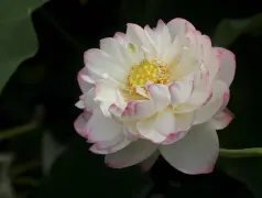 http://oss.cjn.cn/images/20240619/17187740936942a87f2e4-fb07-4362-9500-65ab04dda4cd.jpg