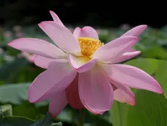 http://oss.cjn.cn/images/20240619/17187740962331151fb51-e6dc-4072-b8b5-16bc25195fc6.jpg