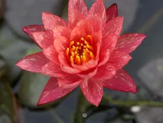 http://oss.cjn.cn/images/20240619/1718774096280da57fa3e-b170-4191-9f88-eb9596fa7583.jpg