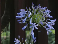 http://oss.cjn.cn/images/20240619/17187740985550f6a4616-939c-4e26-aec6-a8ab701e8cb0.jpg