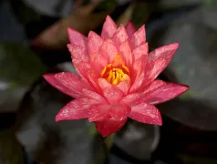 http://oss.cjn.cn/images/20240619/1718774098628848ac2fd-9f12-47c9-a8f0-2d74aa478ca4.jpg