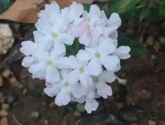 http://oss.cjn.cn/images/20240625/1719288585780fef34391-db81-40d8-94f8-ffbd6f433ccc.jpg
