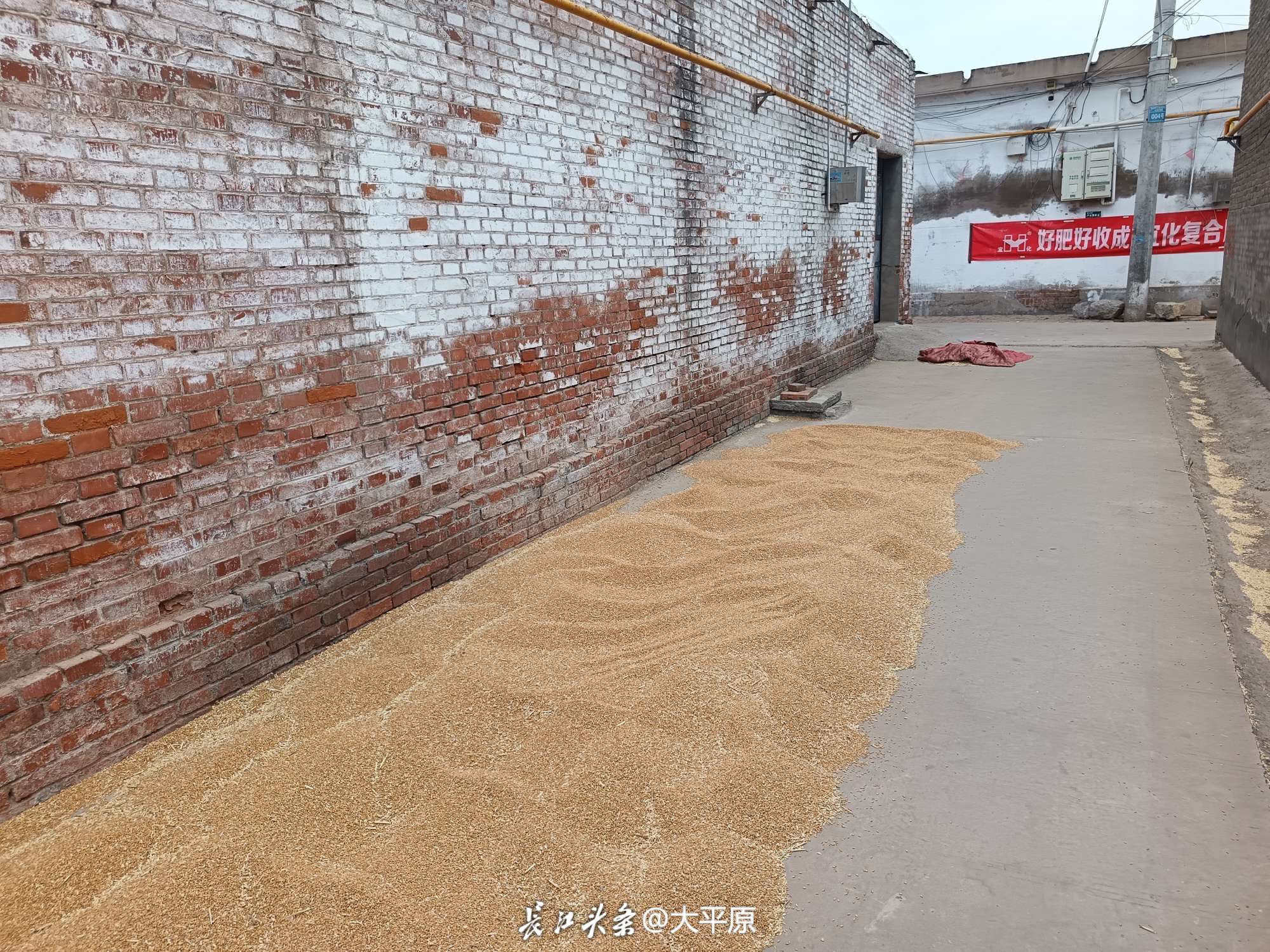 微信图片_20240611002312.jpg