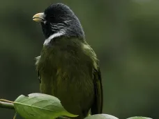 http://oss.cjn.cn/images/20240705/172015488139338967677-0415-4d0e-941b-2d7e8ddca3f0.jpg