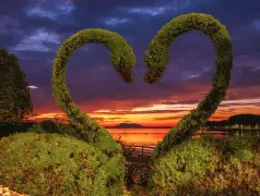 http://oss.cjn.cn/images/20240710/1720557741794f27b725d-be0e-44ca-b6e7-70f9ed769e99.jpg