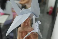 http://oss.cjn.cn/images/20240710/1720613227722628809bb-b673-4b1e-8e70-20ff71371345.jpg