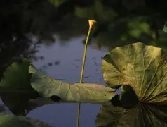 http://oss.cjn.cn/images/20240710/17206225565588ce4bb30-4bee-45d9-a262-4e2811e4ee3a.jpg