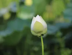 http://oss.cjn.cn/images/20240710/1720622565936d8ce0ff1-22af-4a86-ae44-c7a9dc419bde.jpg