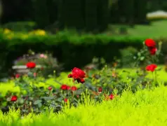 http://oss.cjn.cn/images/20240719/1721395001804626917ca-c7f2-4f37-b227-0dbb02558612.jpg