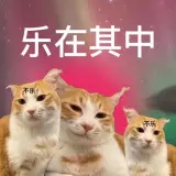 星愿服务小队
