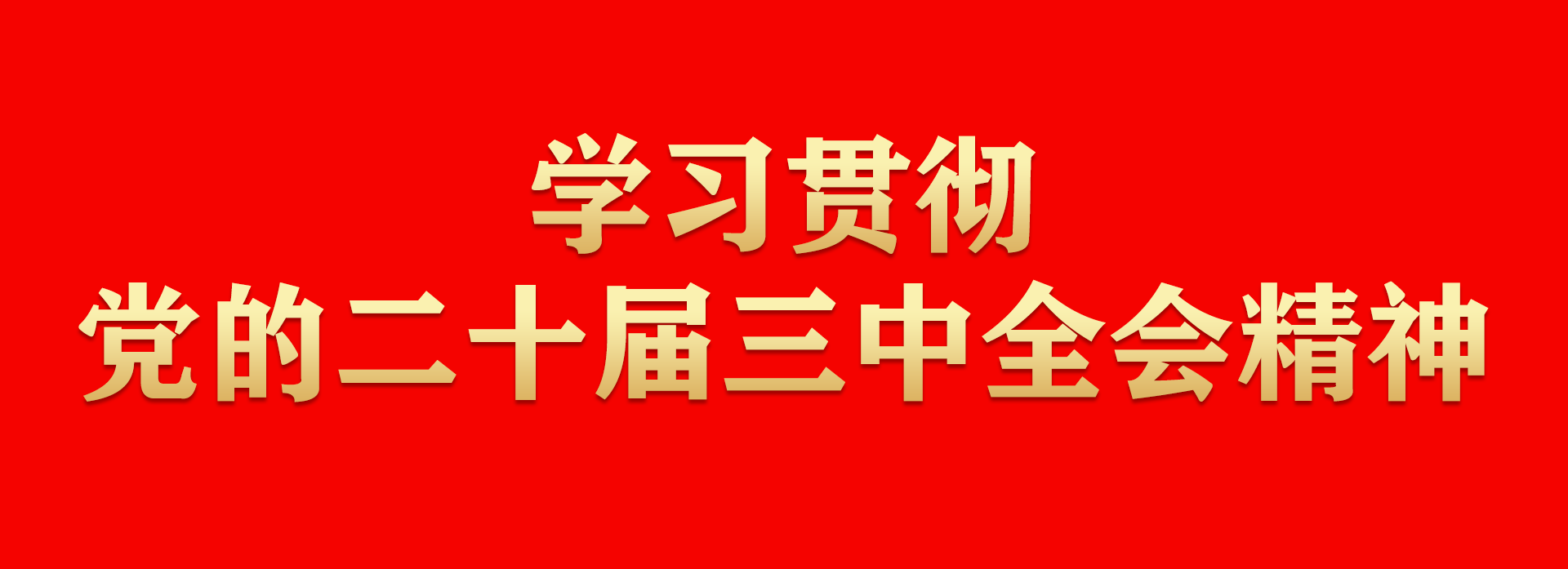 学习贯彻党的二十届三中全会精神