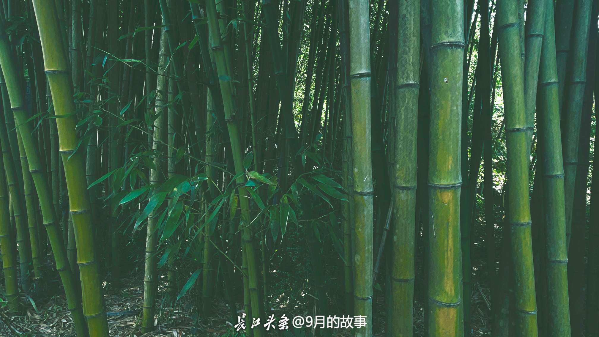 微信图片_20240721125729.jpg
