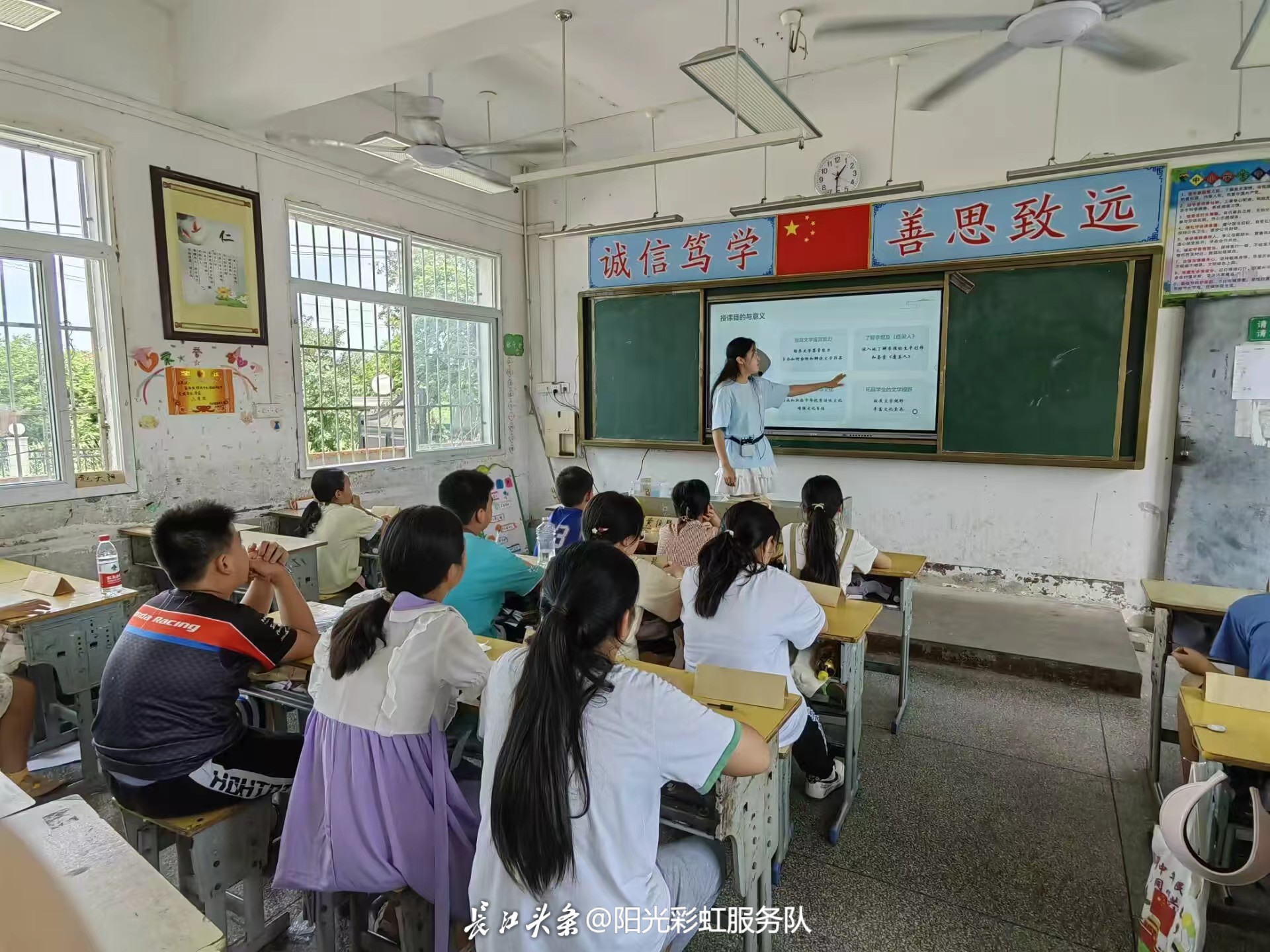 虞美人1.jpg