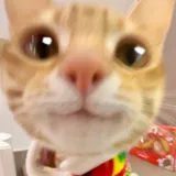 湖美大姐头