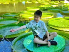 http://oss.cjn.cn/images/20240804/1722761844657d04c6c54-c882-41f3-b9e4-c0a1effd0a1f.jpg