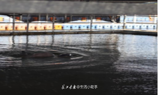 http://oss.cjn.cn/images/20240812/1723463881146f0a25a08-f1a9-4311-8763-d6bb1ef9c4c9.png