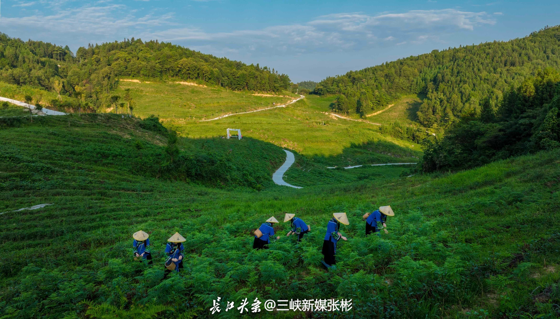 张彬18972555880 (34).jpg