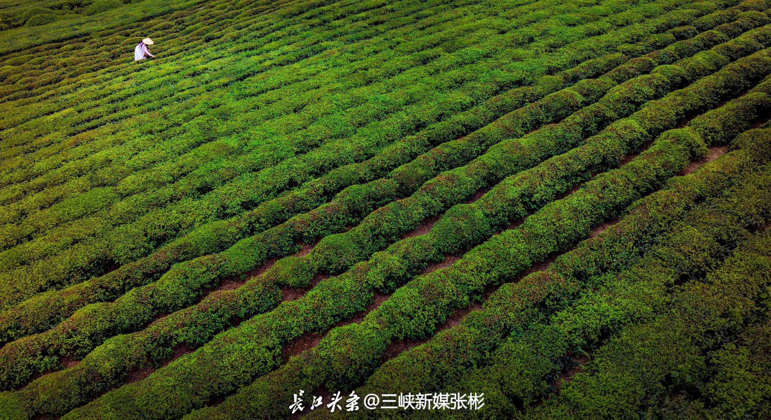 张彬18972555880 (55).jpg